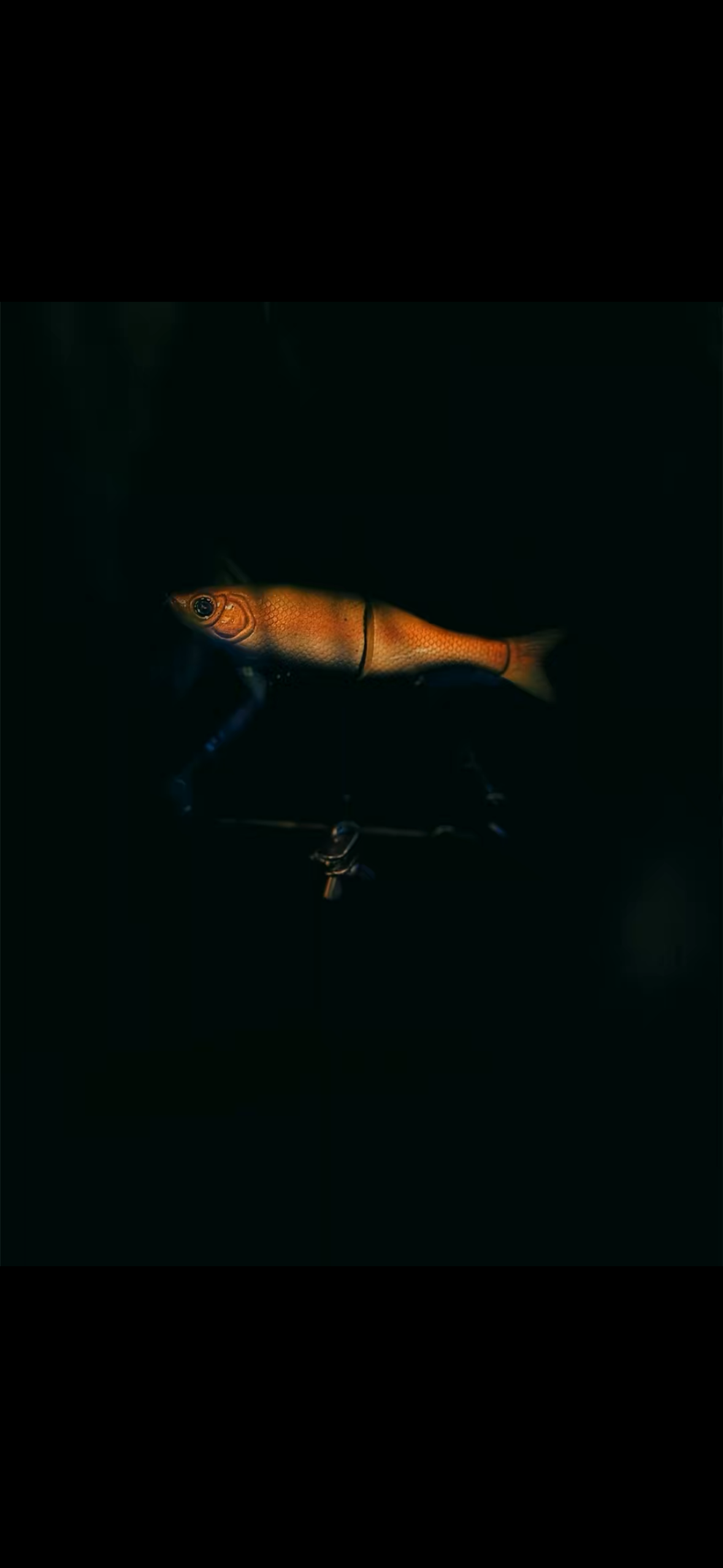 6” Glidebait