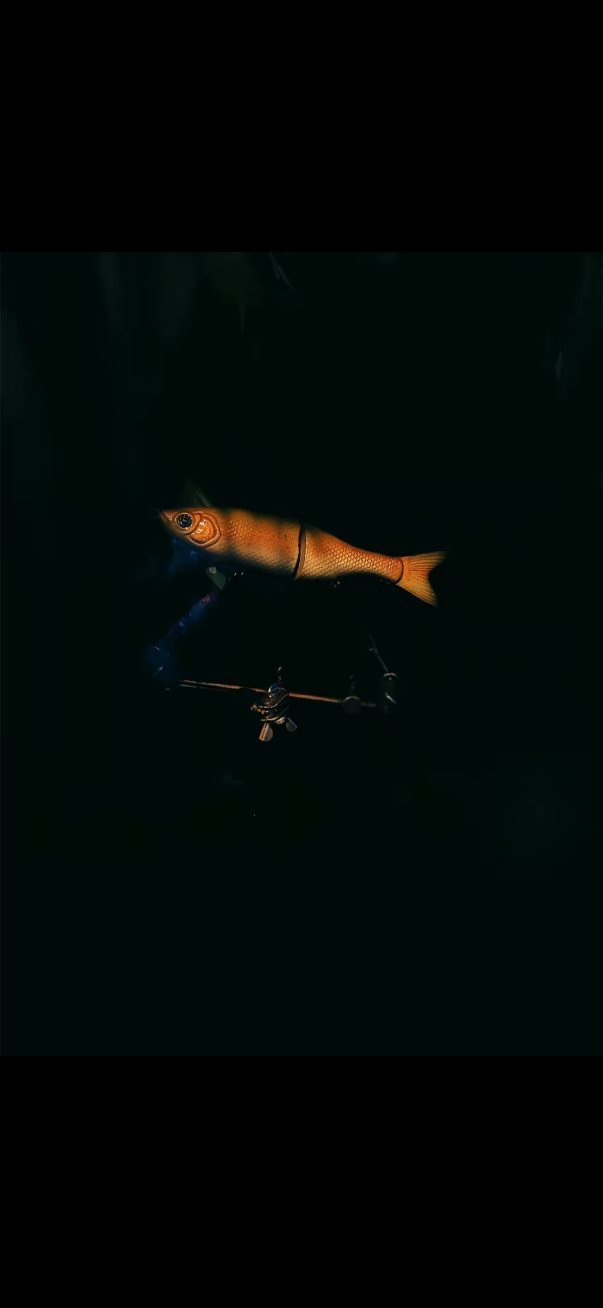 6” Glidebait