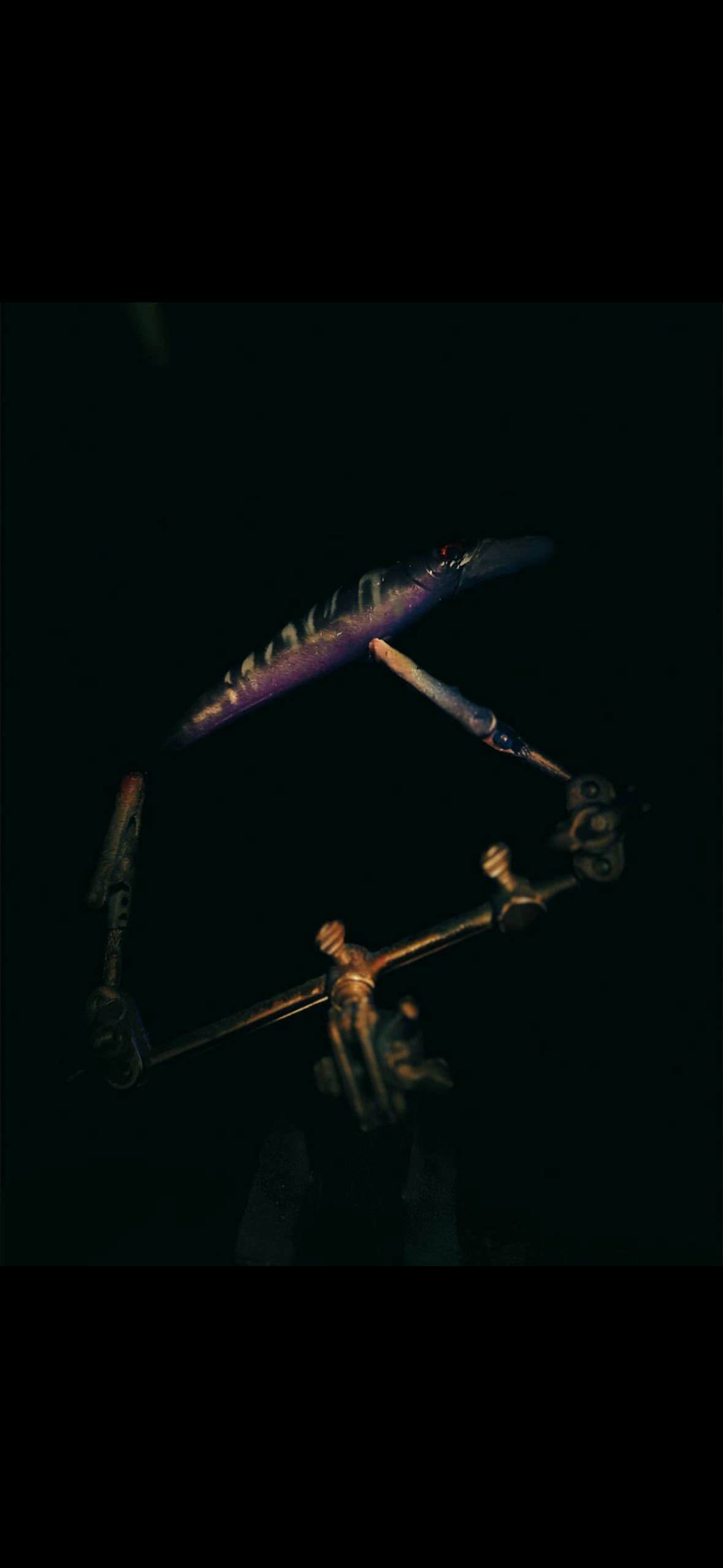 Jerkbait