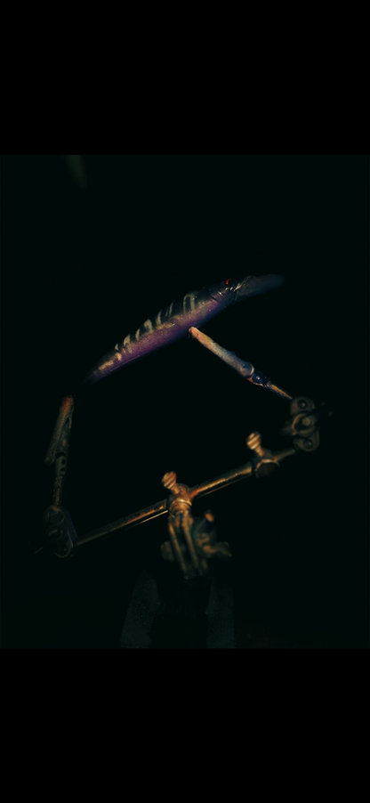 Jerkbait