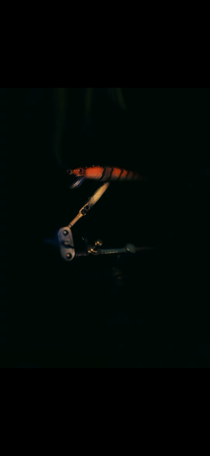 Jerkbait