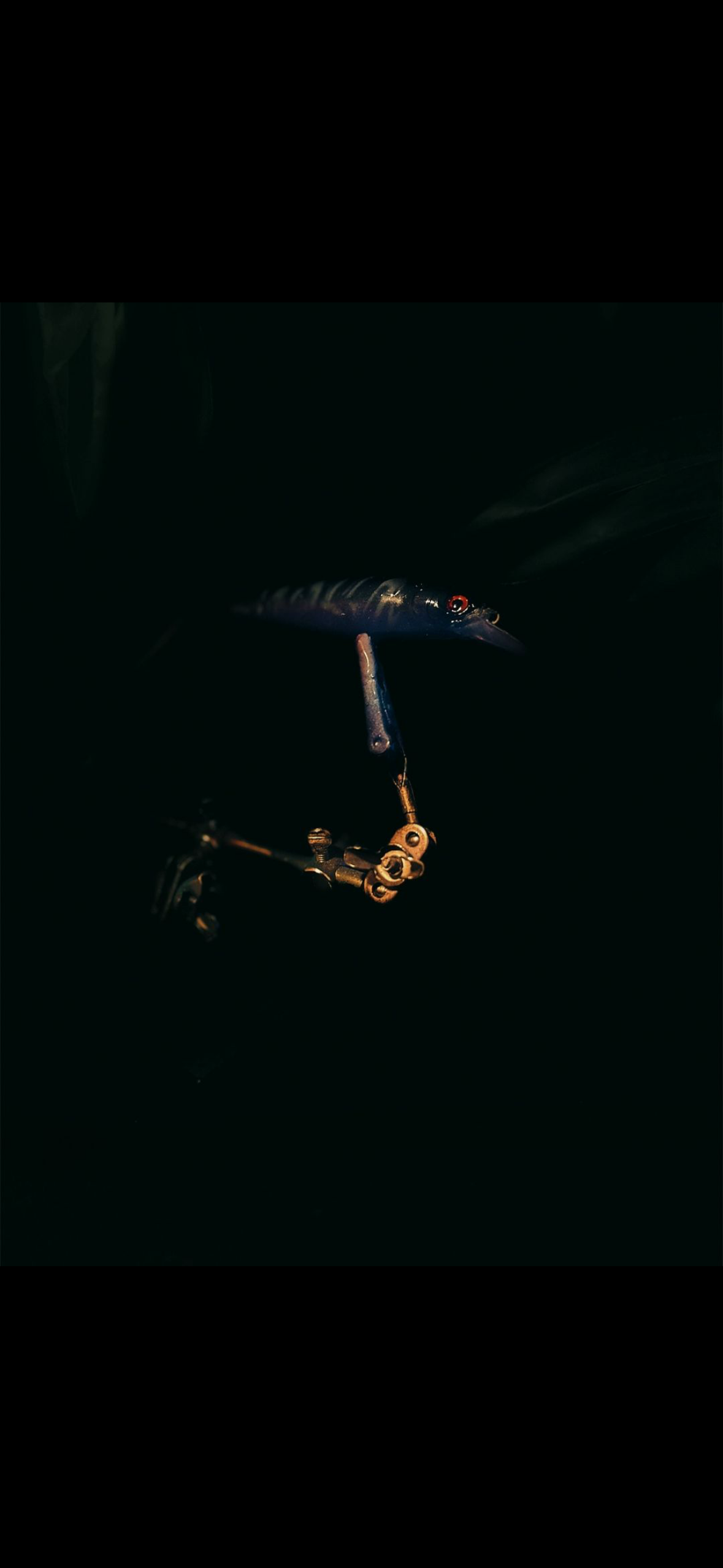 Jerkbait