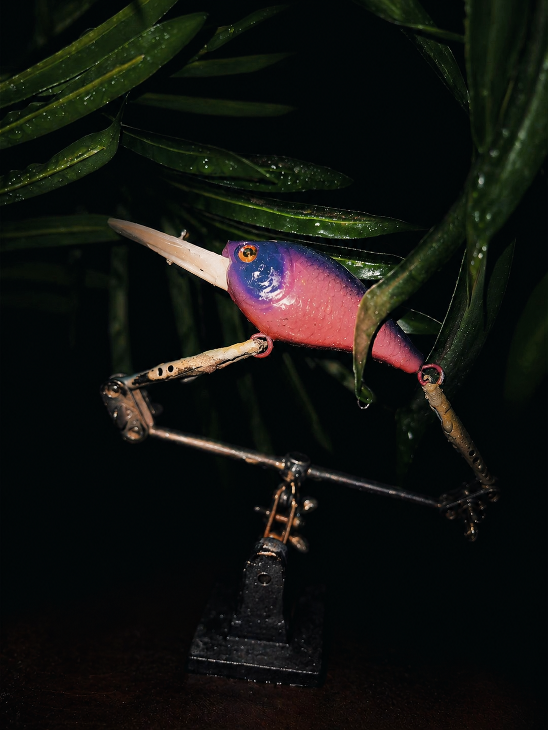 Cotton Candy Crankbait