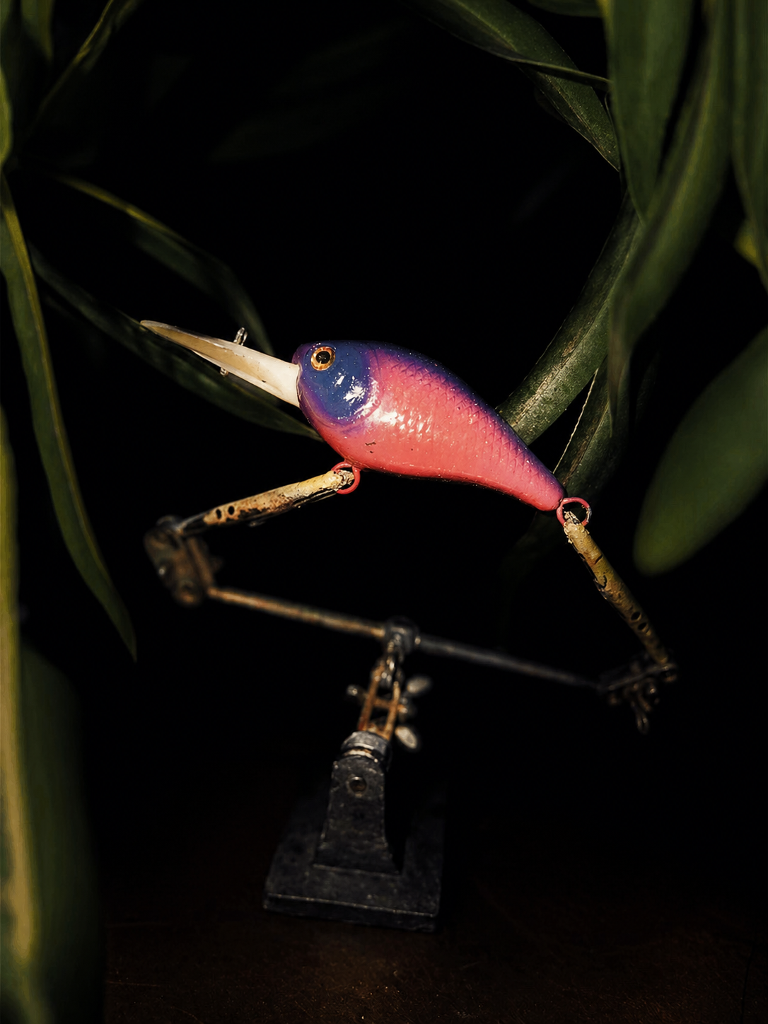 Cotton Candy Crankbait