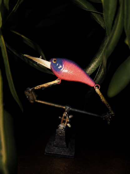 Cotton Candy Crankbait