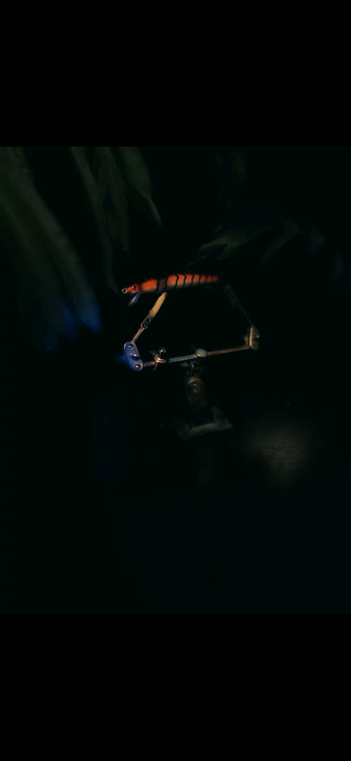Jerkbait