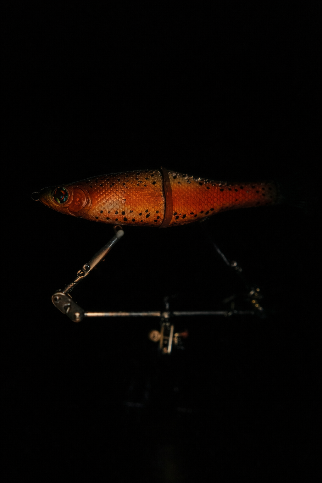 6" Glidebait