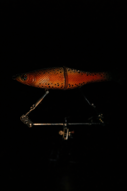 6" Glidebait
