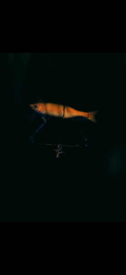 6” Glidebait
