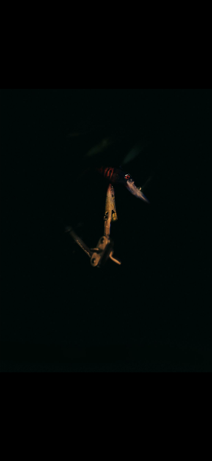Jerkbait