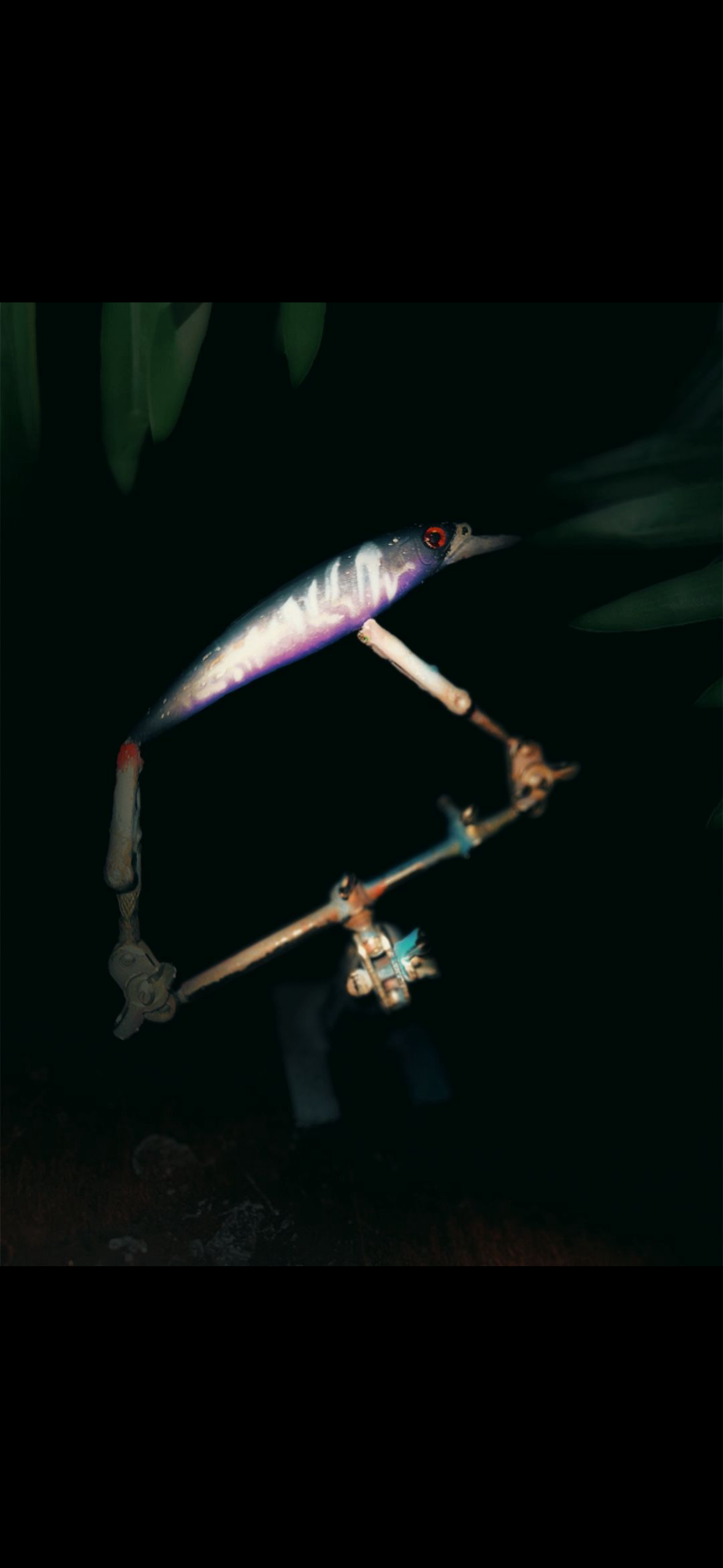 Jerkbait