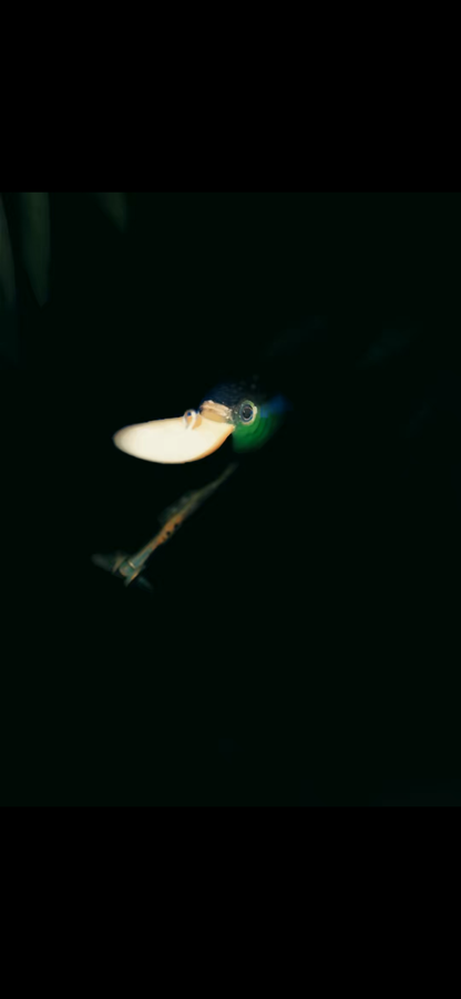 Neon Green Crankbait