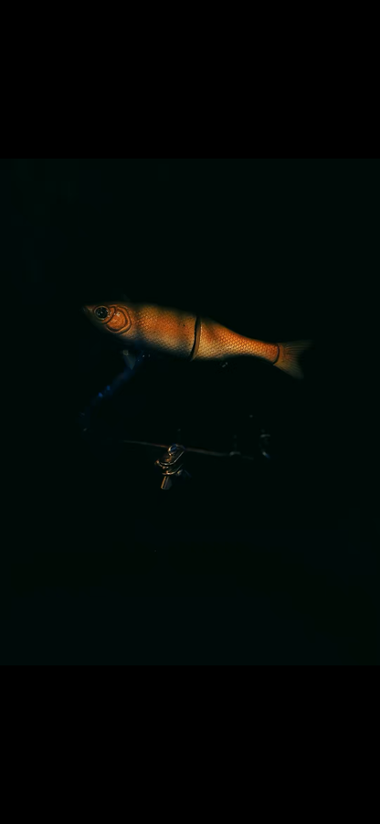 6” Glidebait
