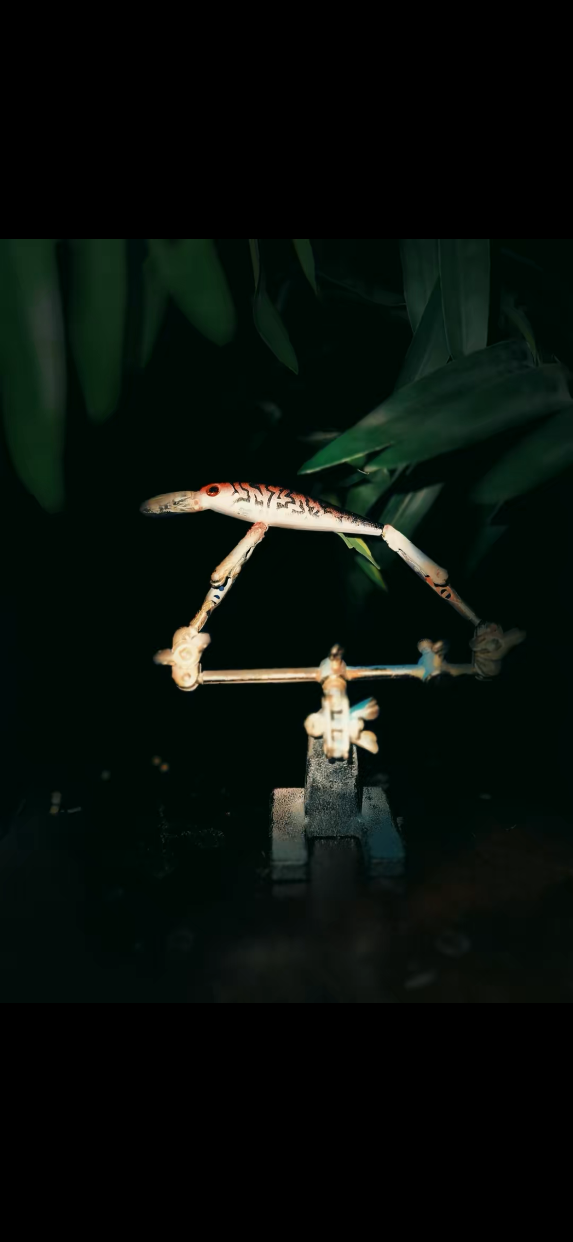 Jerkbait