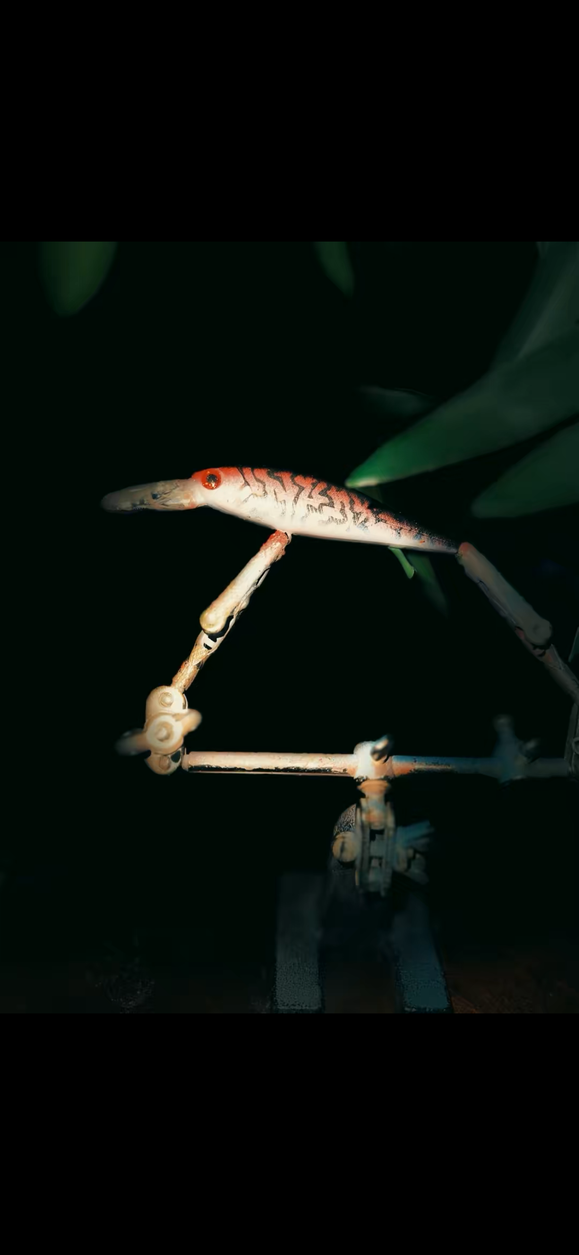 Jerkbait